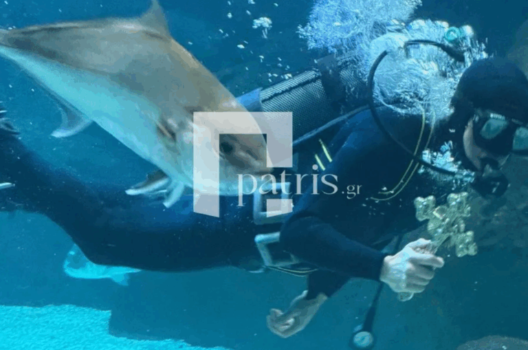 Κρήτη: Εντυπωσιακός εορτασμός των Θεοφανίων στο Ενυδρείο (εικόνες – βίντεο)