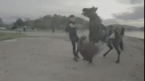 Ατύχημα για τον Ακη Πετρετζίκη στα γυρίσματα της εκπομπής του – Επεσε από άλογο, ράγισε το πλευρό του (βίντεο)