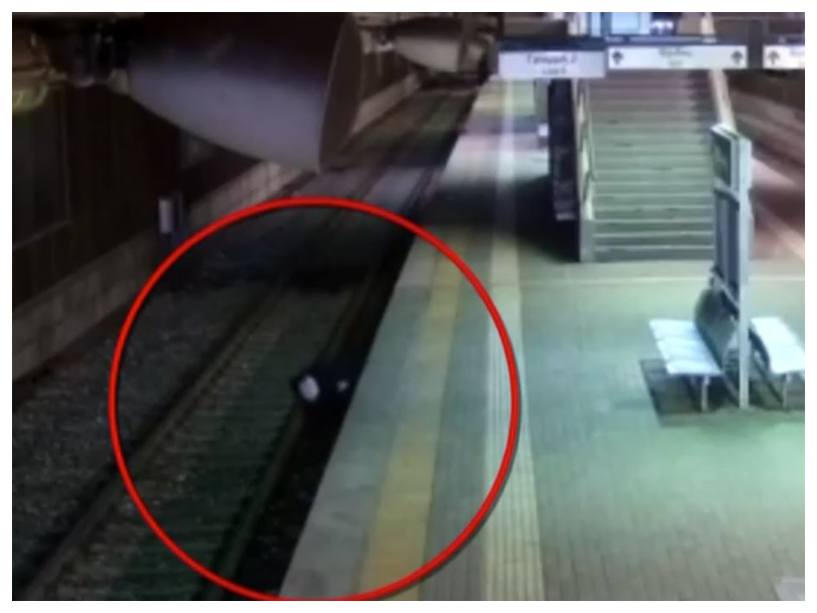 Βίντεο: Η στιγμή που 36χρονος αφαιρεί 100 μέτρα χαλκού από τον προαστιακό στο Ζεφύρι – «Πιάστηκε» από τις κάμερες, άμεση σύλληψη η Αστυνομία