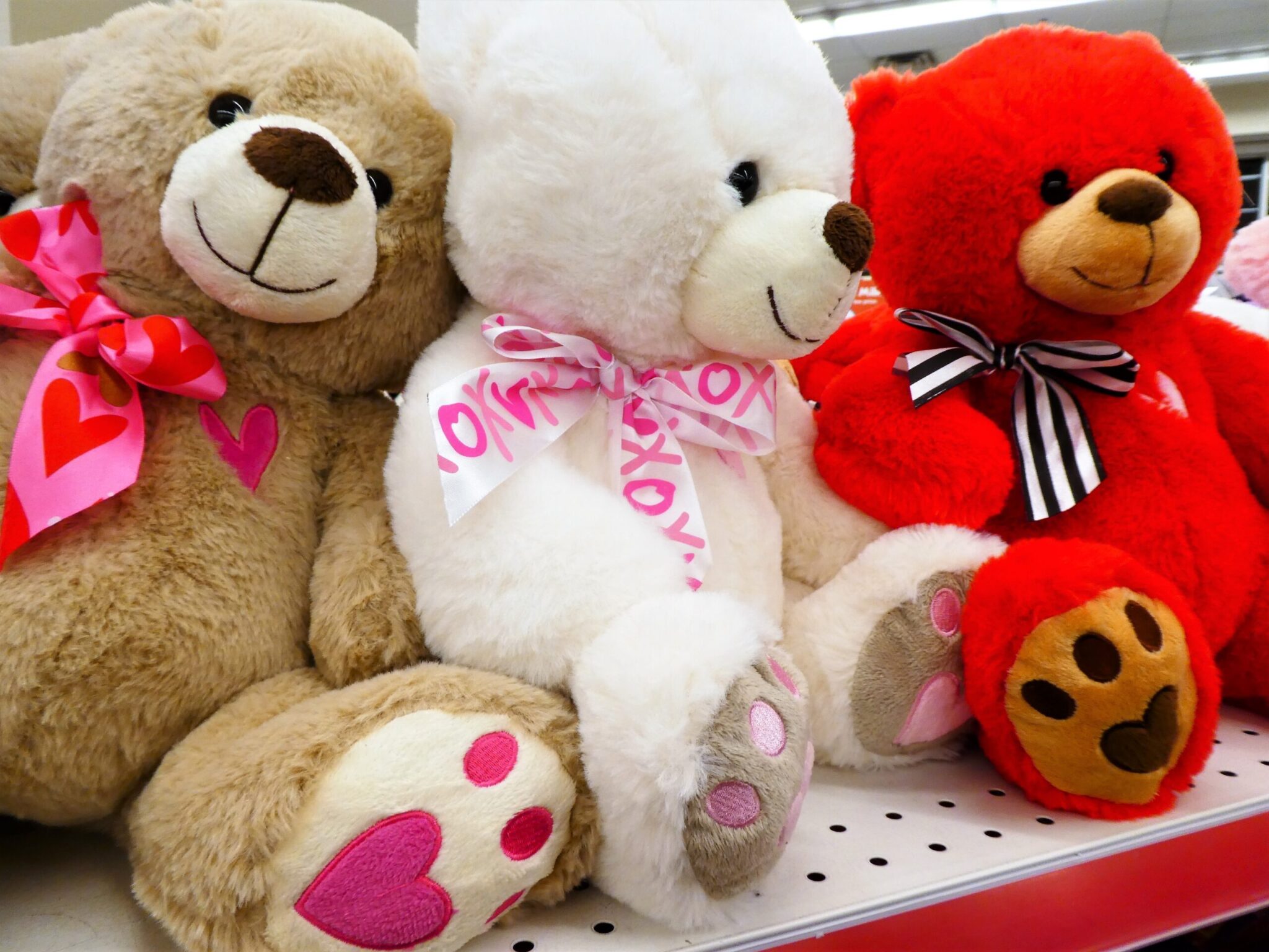 Θεσσαλονίκη: Βούτηξαν λούτρινα αρκουδάκια από βιτρίνα ανθοπωλείου – Ανάμεσα στους 3 δράστες ένα ανήλικο κορίτσι (Βίντεο)