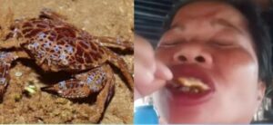 Φιλιππίνες: Food influencer τρώει «καβούρια του διαβόλου» στα μαγκρόβια δάση και πεθαίνει δύο ημέρες αργότερα (βίντεο)