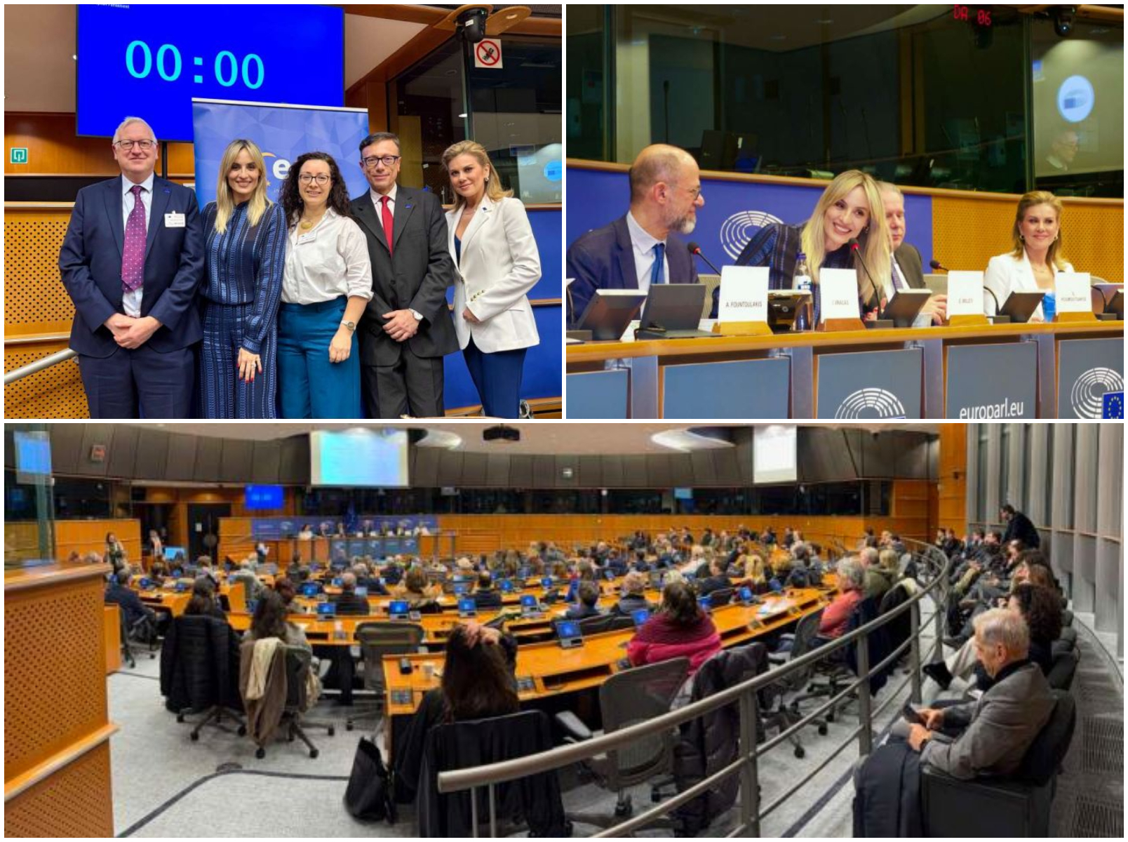 Η ελληνική γλώσσα στην καρδιά της Ευρώπης: Πρώτος εορτασμός της Παγκόσμιας Ημέρας Ελληνικής Γλώσσας στο Ευρωπαϊκό Κοινοβούλιο