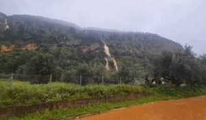 Πηγή φωτογραφίας: messinialive.gr