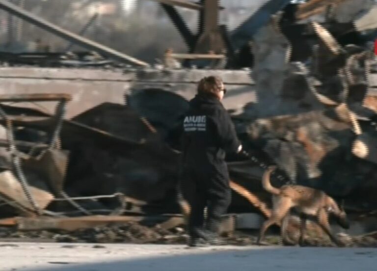 Σοκ στη Βιολάντα: Βιολογικό υλικό από τα θύματα της τραγωδίας εντόπισαν ειδικά εκπαιδευμένα σκυλιά (βίντεο)