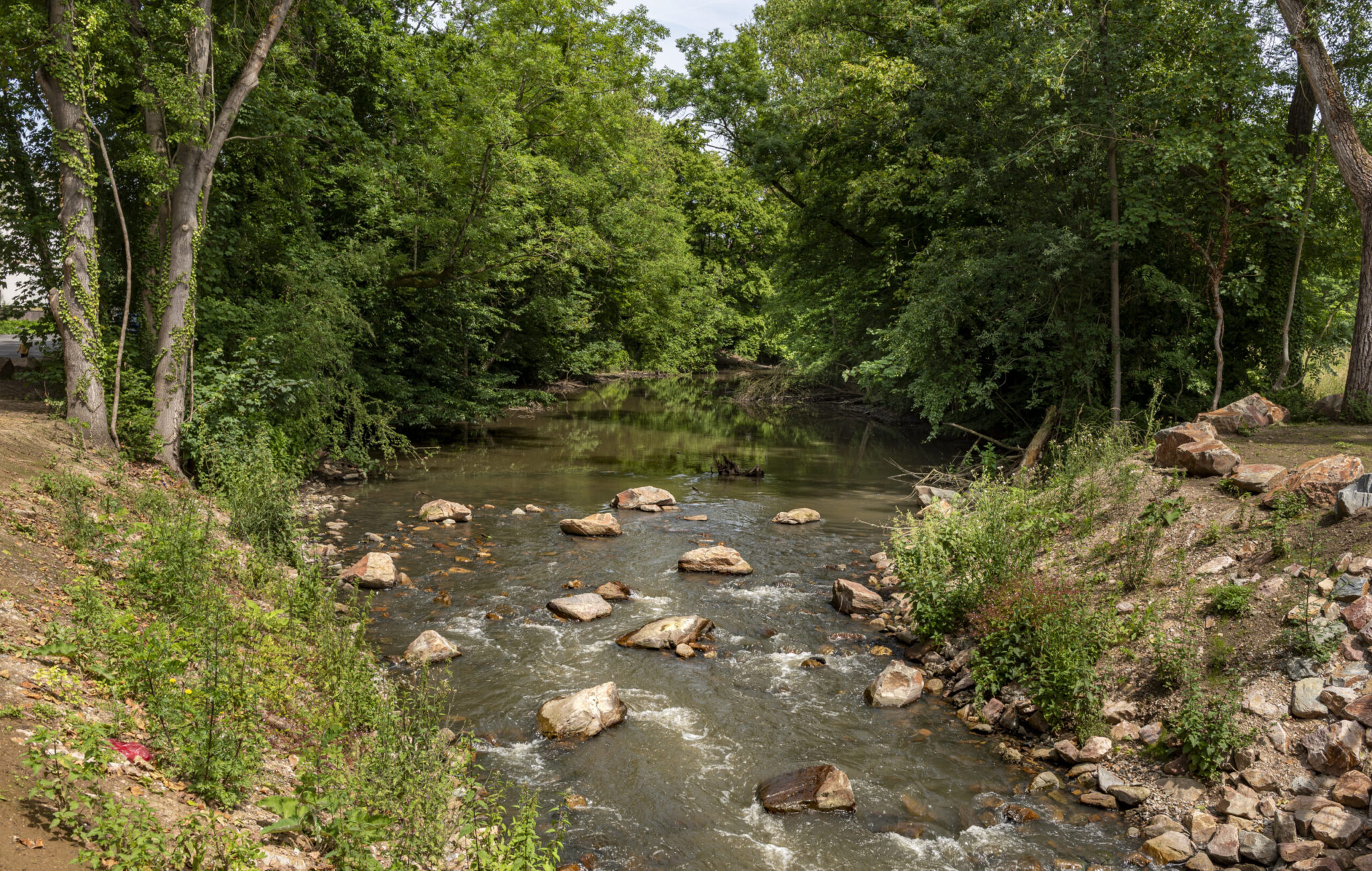ΕΕ: Η φύση μπορεί να γίνει «όπλο» άμυνας – Δάση και υγρότοποι ως φυσικά σύνορα