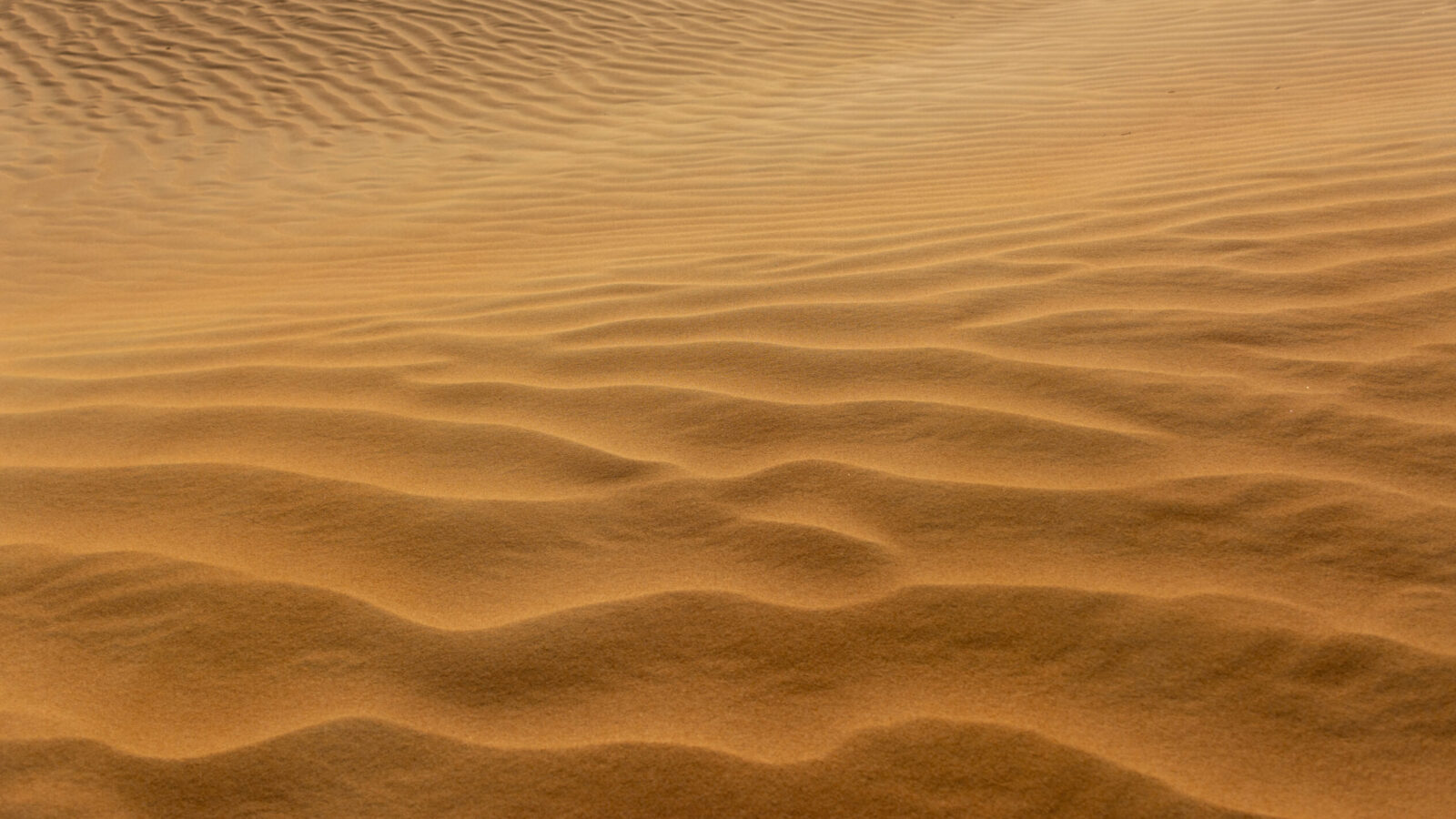 Παγκόσμια ημέρα ποίησης στις στιγμές της απώλειας