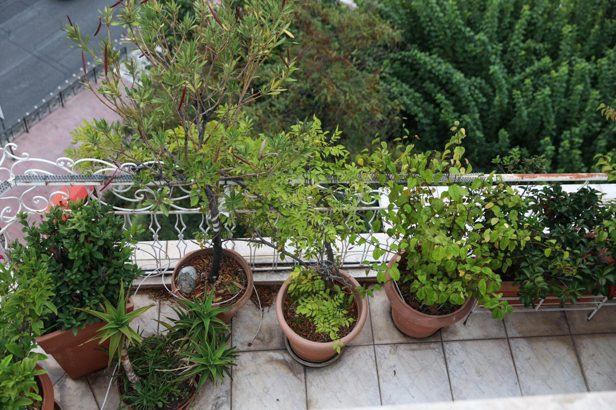 Γαστούνη: Νεαρός 23 ετών τραυματίστηκε σοβαρά από πτώση από μπαλκόνι – Νοσηλεύεται με κρανιοεγκεφαλικές κακώσεις