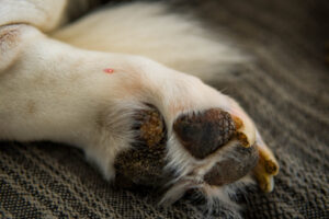 Φωτο αρχείου - Πηγή: iSTOCK