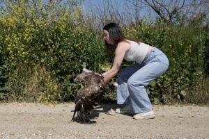 Άγρια ζωή/ Βάιος Βήτος