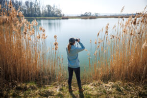 istock
