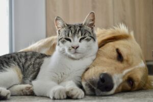 istock
