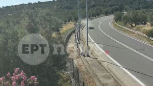 Πηγή: Στιγμιότυπο από βίντεο ΕΡΤ (glomex)