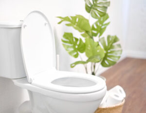 Φωτογραφία αρχείου: istock