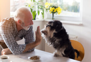 istock