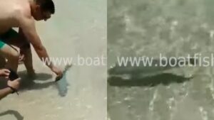Φωτό από βίντεο του boatfishing.gr