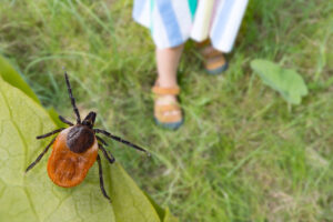 istock