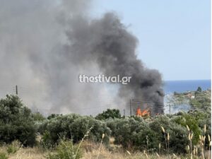 Thestival.gr - Φωτιά στην Χαλκιδική
