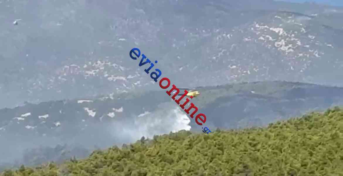 Καλύτερη η εικόνα της φωτιάς στη Σκύρο – Συνεχίζει η επιχείρηση κατάσβεσης (βίντεο)
