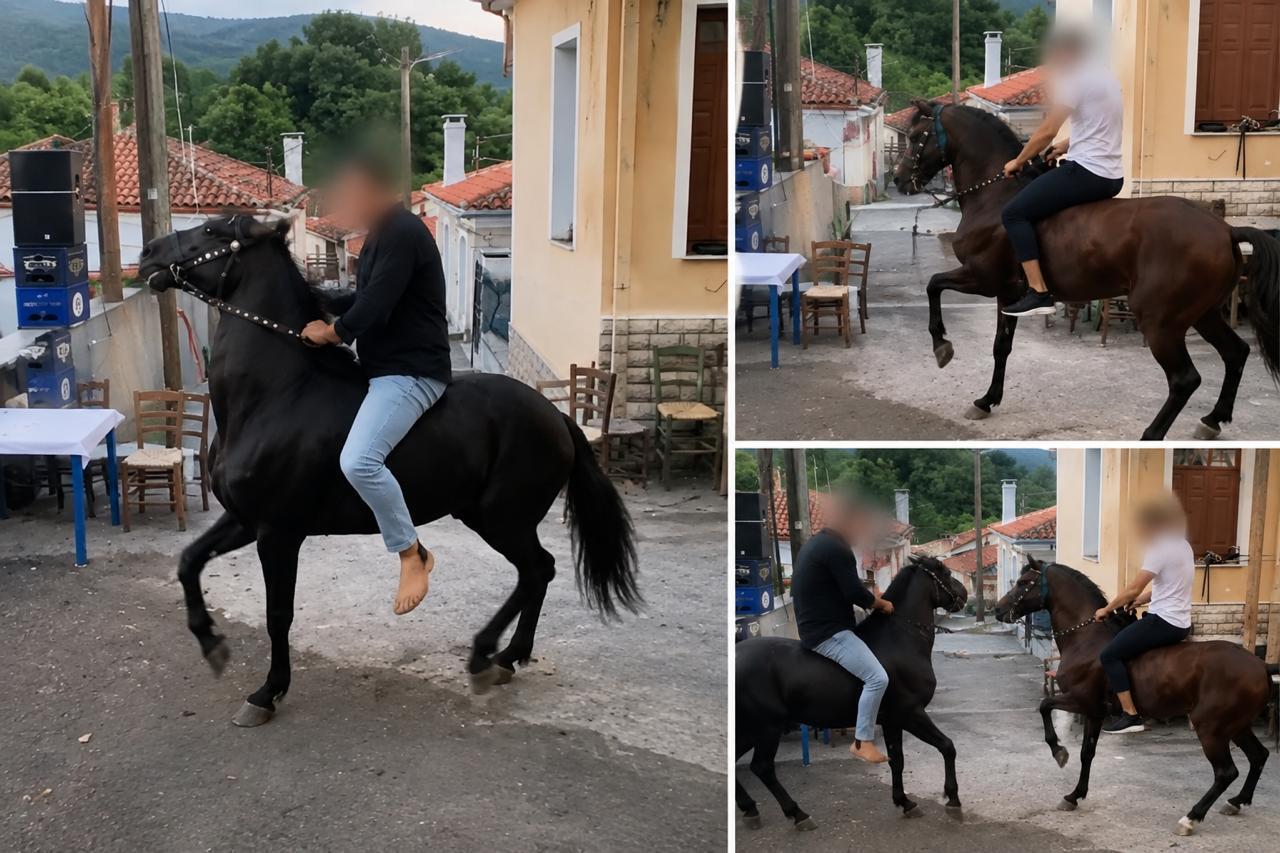 Όταν ο βασανισμός ζώων βαφτίζεται «παράδοση»: Από τα άλογα της Λέσβου στα «έθιμα» που πρέπει να τελειώσουν – Γράφει ο Τέρενς Κουίκ