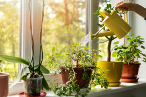 istock