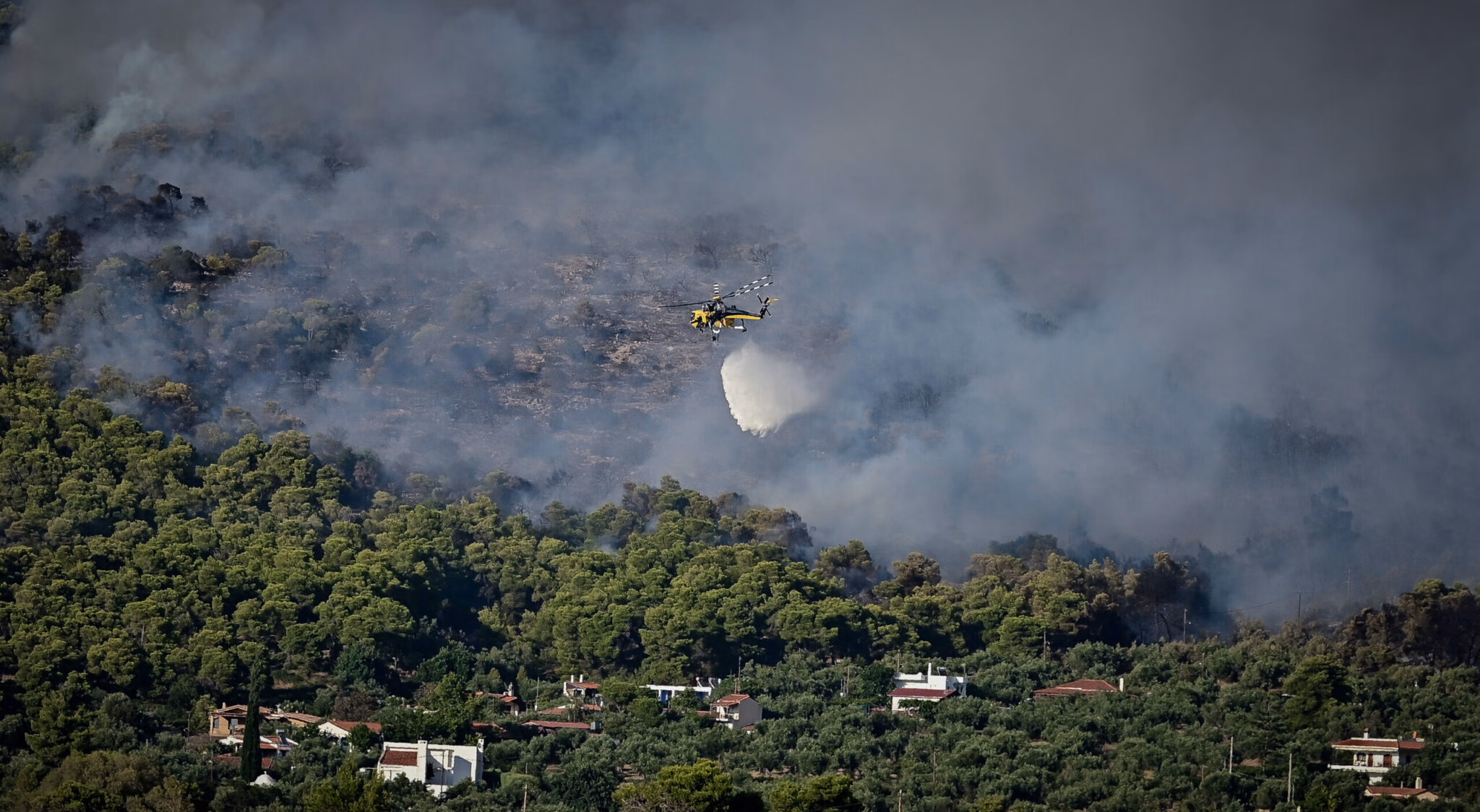 ΜΕΤΕΟ: Το 42% των δασών της Αττικής κάηκε τα τελευταία δέκα χρόνια, ήτοι 512.000 καμένα στρέμματα